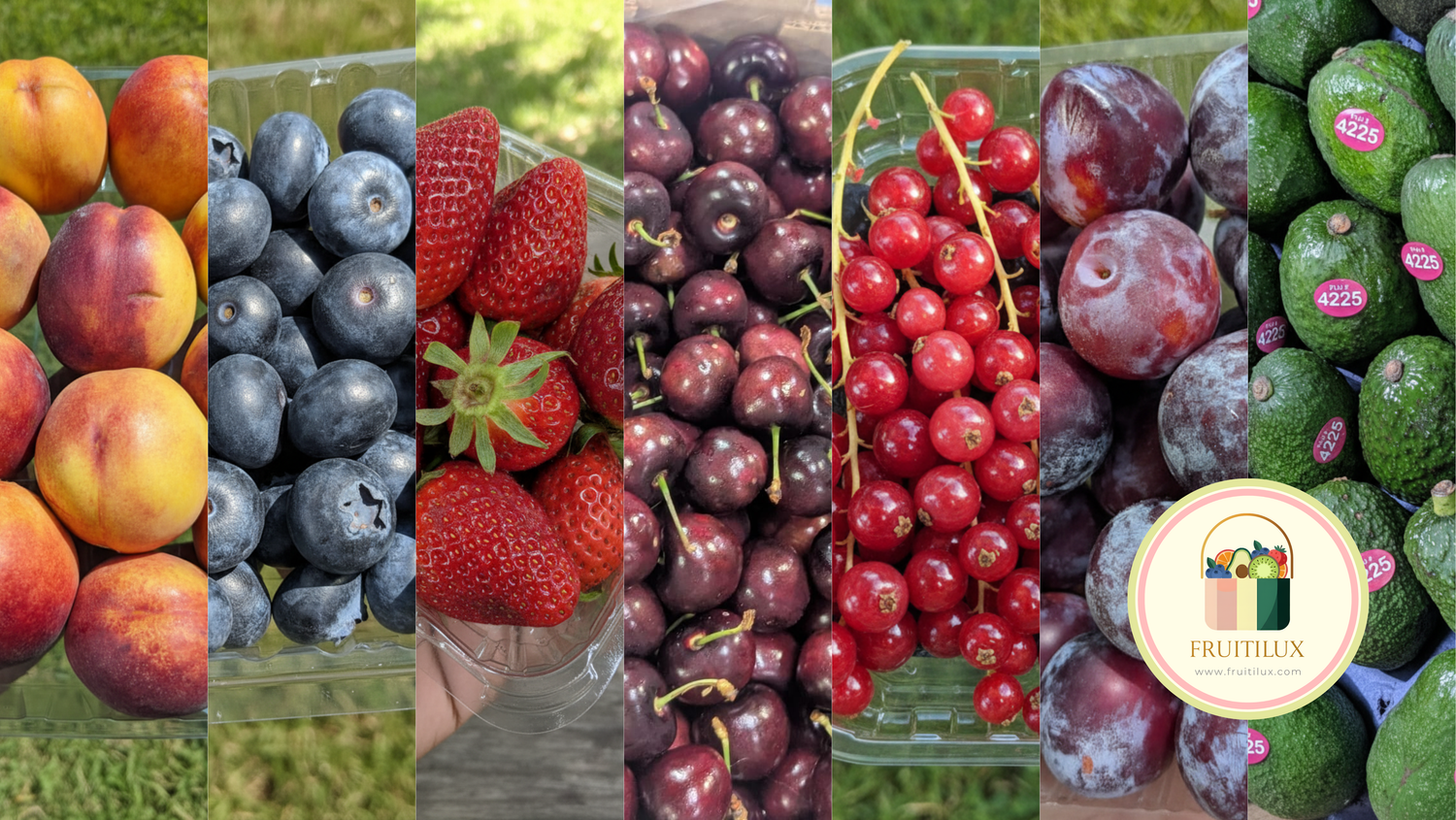 Fresh Imported Fruits